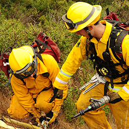 MBVFD Firefighters