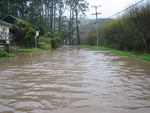 Trees Down, Pacific Way Flooding